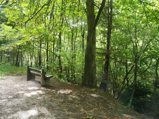 Dalby Forest